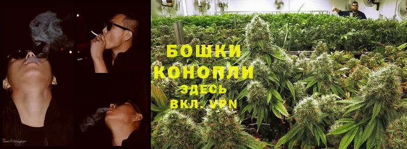 Марихуана White Widow  Борисоглебск 